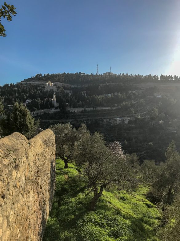 מנזר האחיות מציון בעין כרם. טיול יום והמלצות לביקור באתרים נוצריים בירושלים