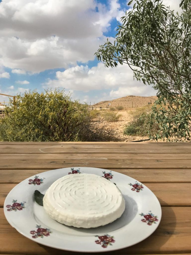 גבינה צפתית מוגשת בחוות נאות שברמת הנגב. החווה הוקמה על ידי גדי ולאה נחימוב, משלבת אירוח בצינרים (לינה בצינורות בטון), צימרים, סיורים וגבינות