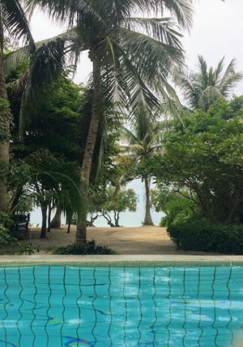 מבט מהבריכה אל החוף